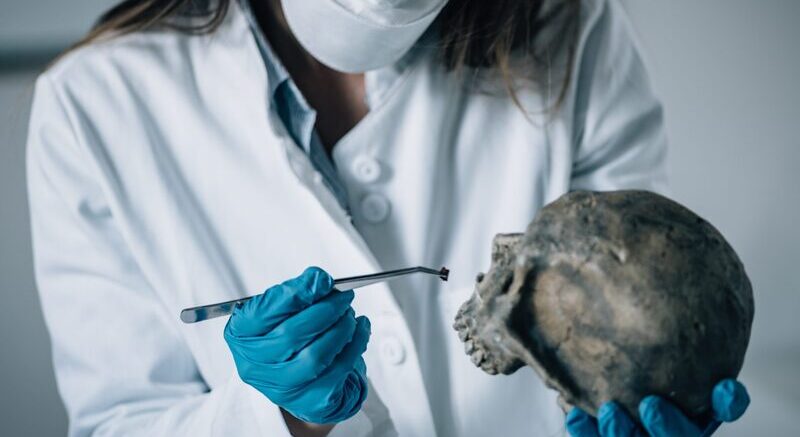 DU d'identification en odontologie médico-légale (en pause)